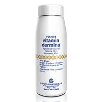 VITAMINDERMINA POLV ESTR VEG