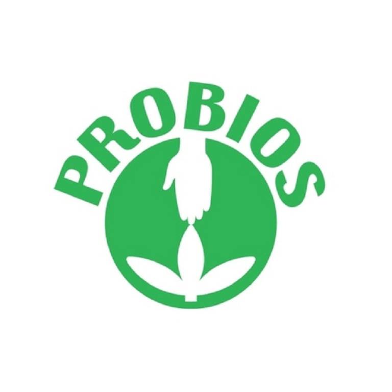 PROBIOS PANE A FETTE SEMI 250G